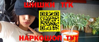 стаф Будённовск