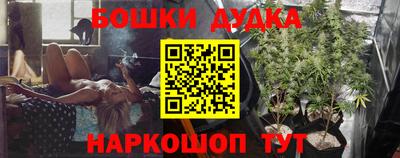 стаф Будённовск