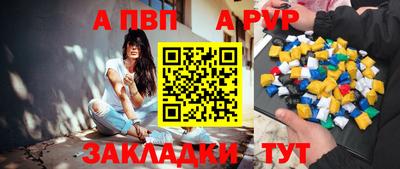 стаф Будённовск