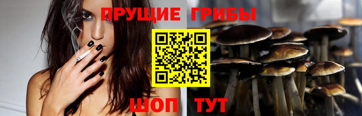 Острогожск  Галлюциногенные грибы мухоморы  Вход с VPN 
